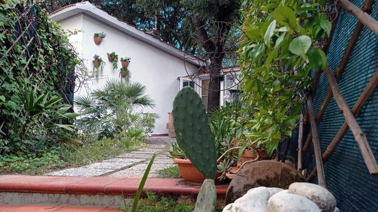 Villetta La Gabbianella Livorno Buitenkant foto